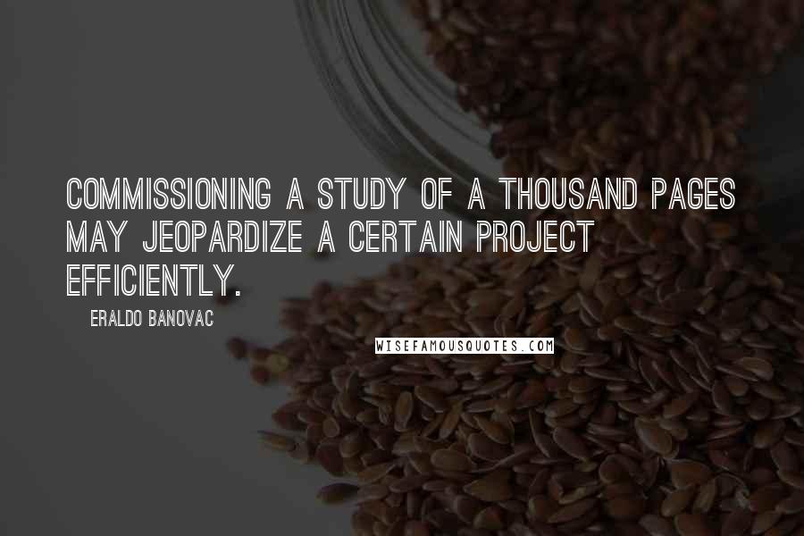 Eraldo Banovac Quotes: Commissioning a study of a thousand pages may jeopardize a certain project efficiently.