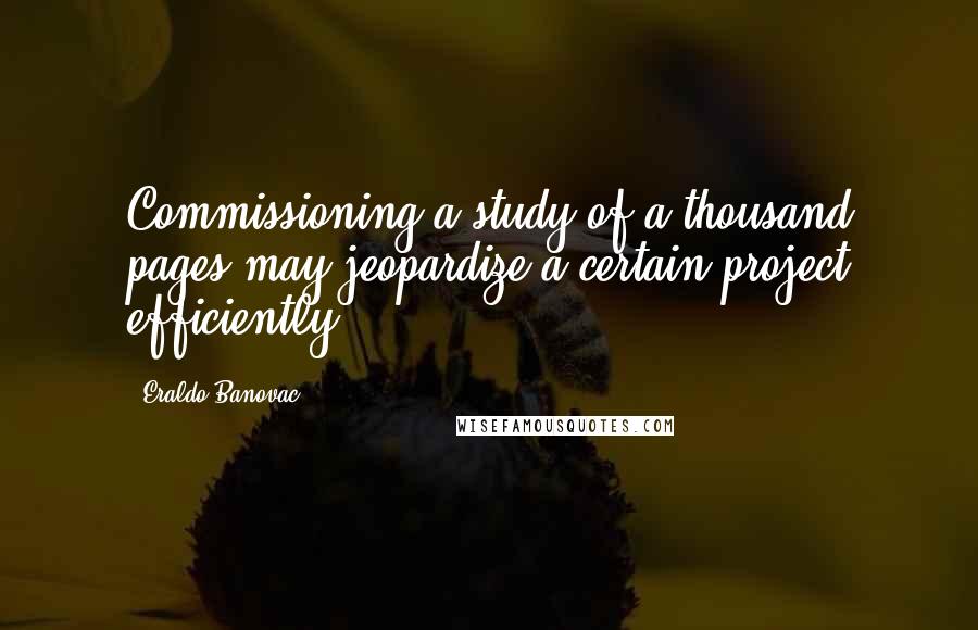 Eraldo Banovac Quotes: Commissioning a study of a thousand pages may jeopardize a certain project efficiently.