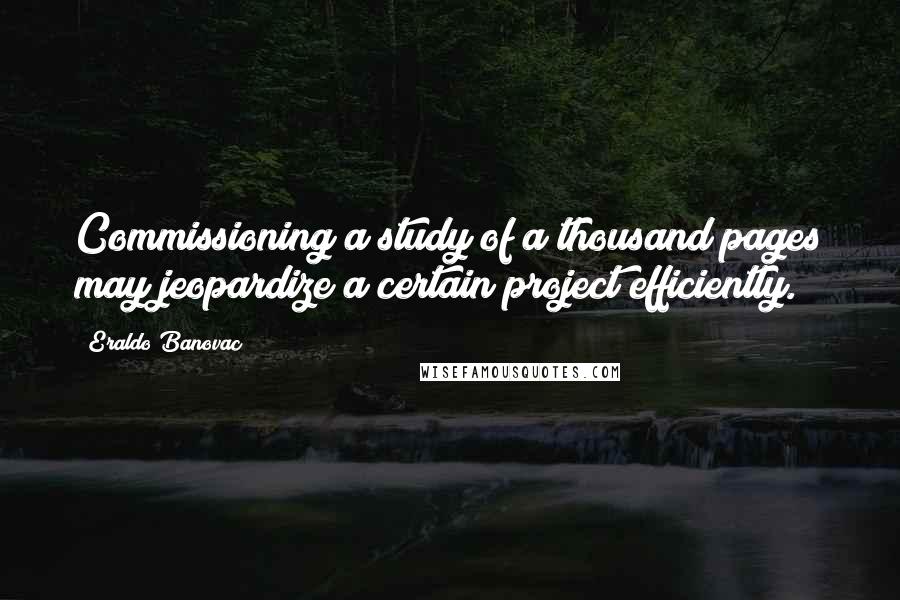 Eraldo Banovac Quotes: Commissioning a study of a thousand pages may jeopardize a certain project efficiently.