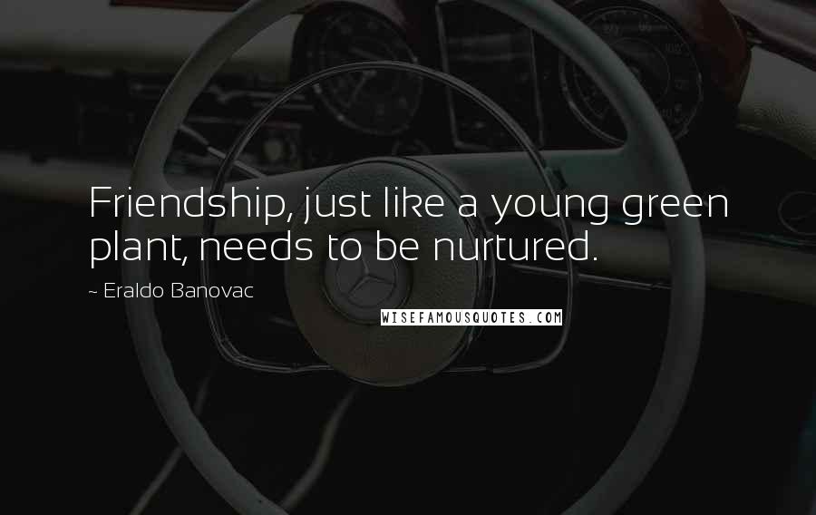 Eraldo Banovac Quotes: Friendship, just like a young green plant, needs to be nurtured.