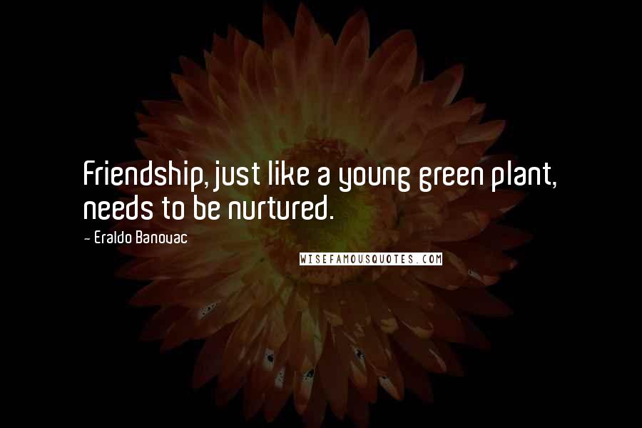 Eraldo Banovac Quotes: Friendship, just like a young green plant, needs to be nurtured.
