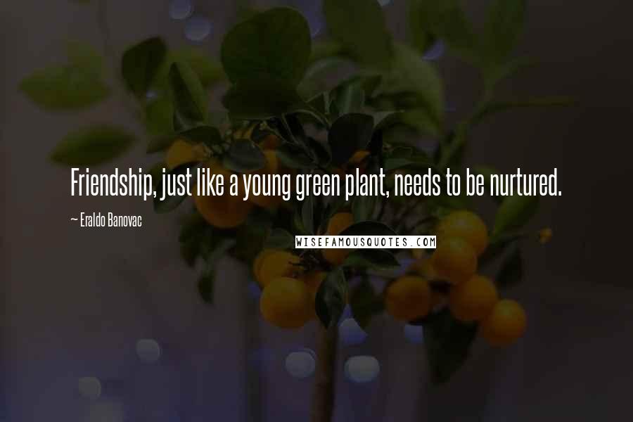 Eraldo Banovac Quotes: Friendship, just like a young green plant, needs to be nurtured.