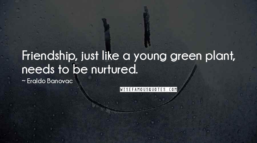 Eraldo Banovac Quotes: Friendship, just like a young green plant, needs to be nurtured.