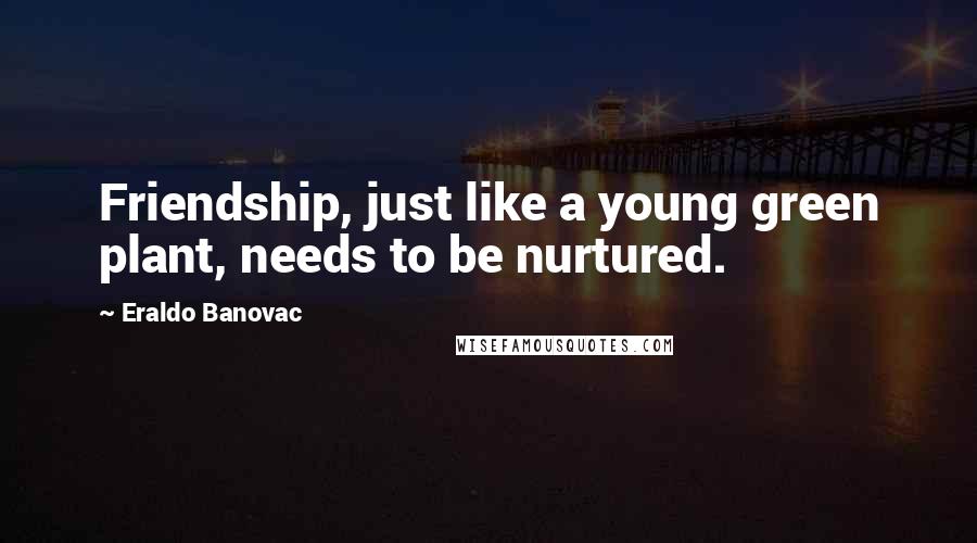 Eraldo Banovac Quotes: Friendship, just like a young green plant, needs to be nurtured.