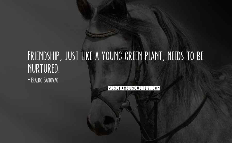 Eraldo Banovac Quotes: Friendship, just like a young green plant, needs to be nurtured.