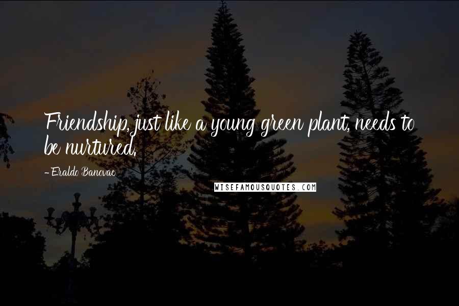 Eraldo Banovac Quotes: Friendship, just like a young green plant, needs to be nurtured.