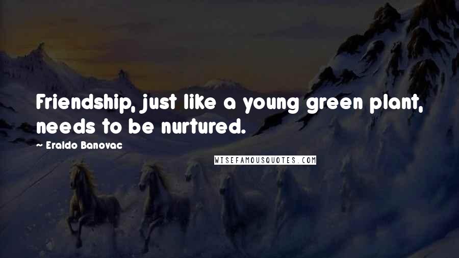 Eraldo Banovac Quotes: Friendship, just like a young green plant, needs to be nurtured.