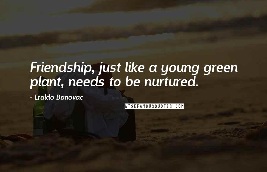 Eraldo Banovac Quotes: Friendship, just like a young green plant, needs to be nurtured.