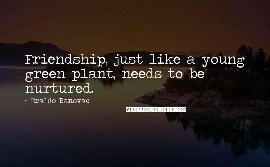 Eraldo Banovac Quotes: Friendship, just like a young green plant, needs to be nurtured.