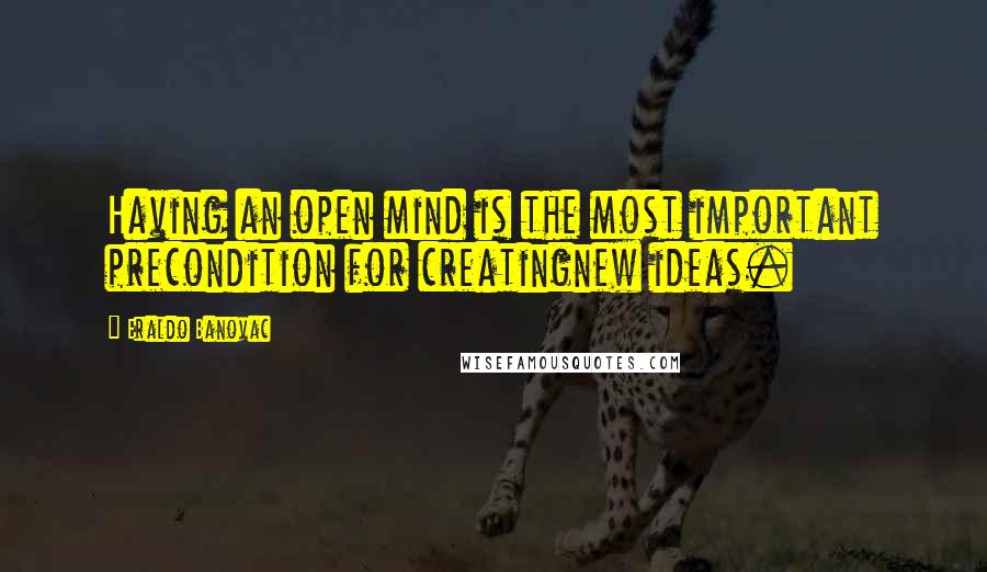 Eraldo Banovac Quotes: Having an open mind is the most important precondition for creatingnew ideas.