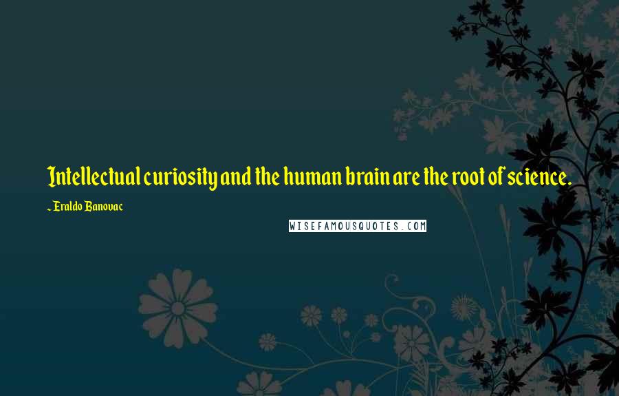 Eraldo Banovac Quotes: Intellectual curiosity and the human brain are the root of science.