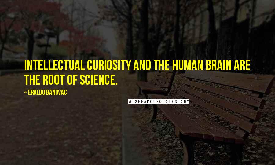 Eraldo Banovac Quotes: Intellectual curiosity and the human brain are the root of science.