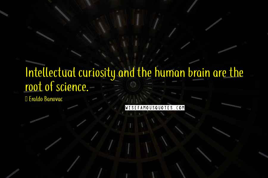 Eraldo Banovac Quotes: Intellectual curiosity and the human brain are the root of science.