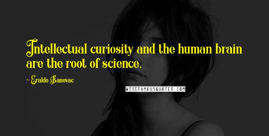 Eraldo Banovac Quotes: Intellectual curiosity and the human brain are the root of science.