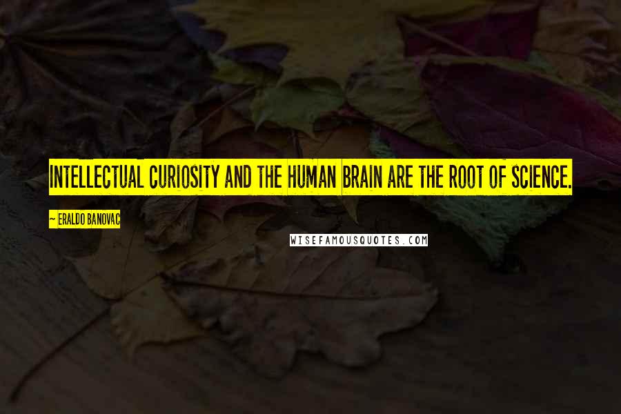 Eraldo Banovac Quotes: Intellectual curiosity and the human brain are the root of science.