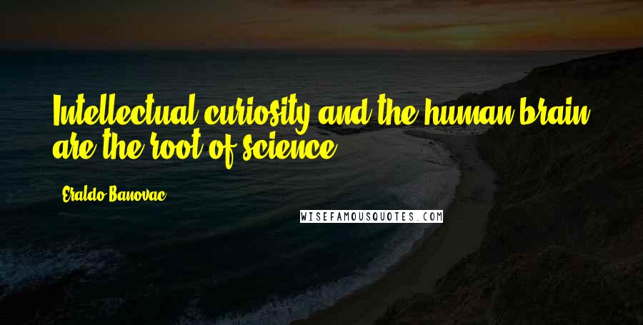 Eraldo Banovac Quotes: Intellectual curiosity and the human brain are the root of science.