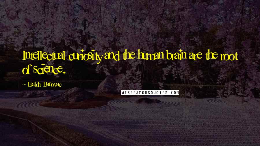 Eraldo Banovac Quotes: Intellectual curiosity and the human brain are the root of science.