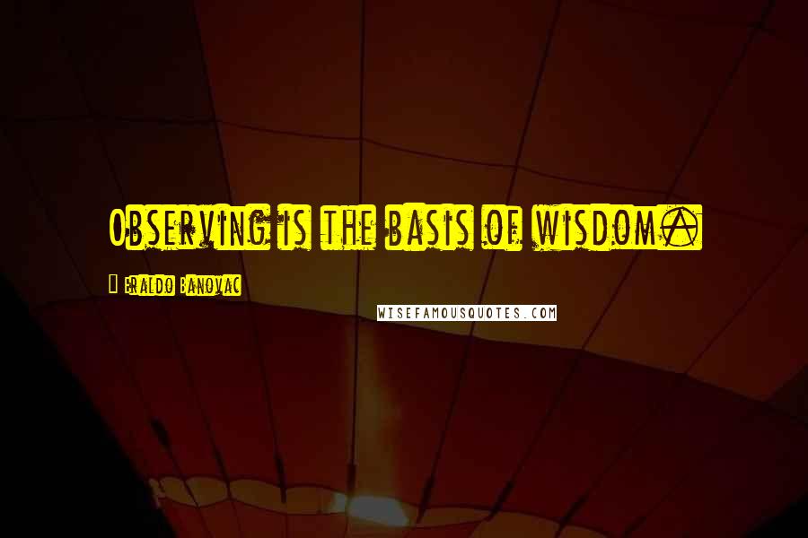 Eraldo Banovac Quotes: Observing is the basis of wisdom.