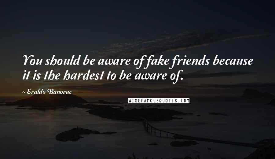 Eraldo Banovac Quotes: You should be aware of fake friends because it is the hardest to be aware of.