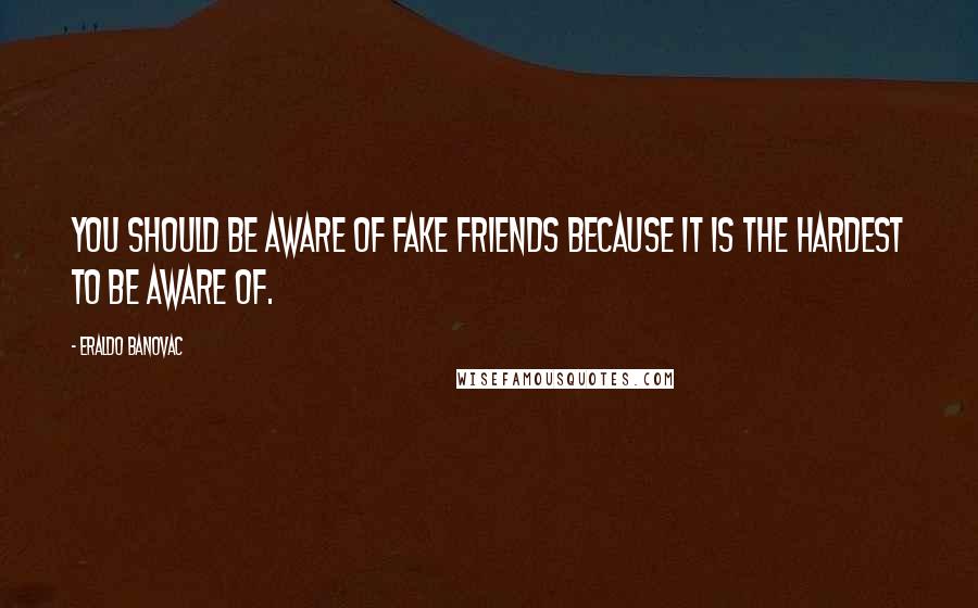Eraldo Banovac Quotes: You should be aware of fake friends because it is the hardest to be aware of.