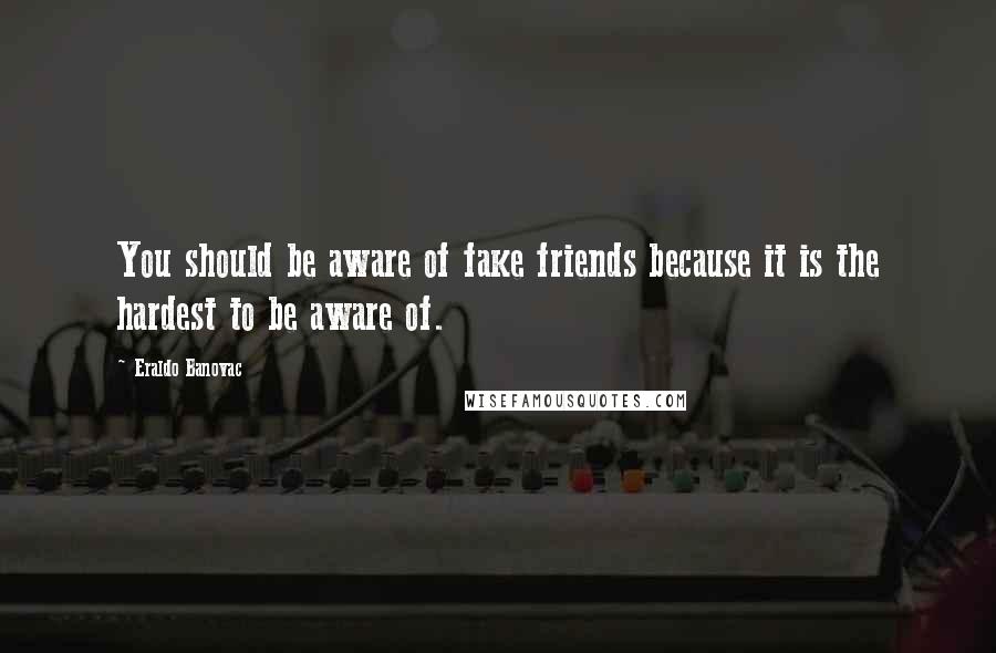 Eraldo Banovac Quotes: You should be aware of fake friends because it is the hardest to be aware of.