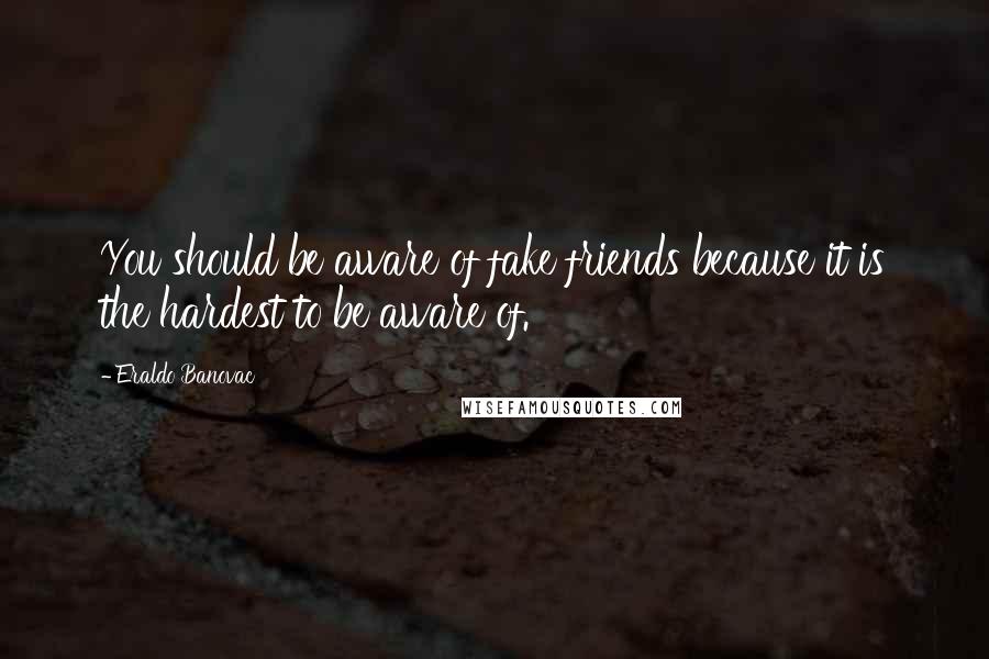 Eraldo Banovac Quotes: You should be aware of fake friends because it is the hardest to be aware of.