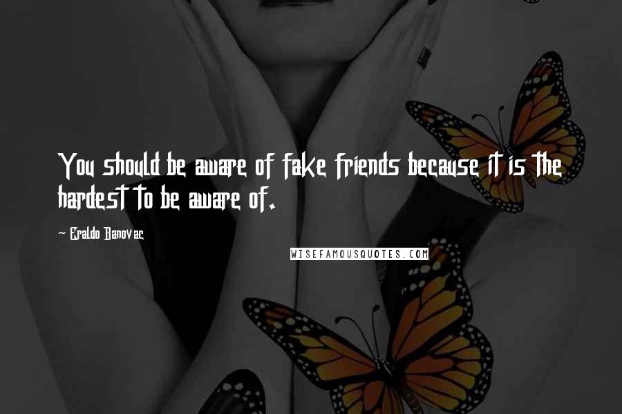 Eraldo Banovac Quotes: You should be aware of fake friends because it is the hardest to be aware of.