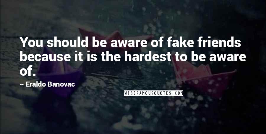 Eraldo Banovac Quotes: You should be aware of fake friends because it is the hardest to be aware of.