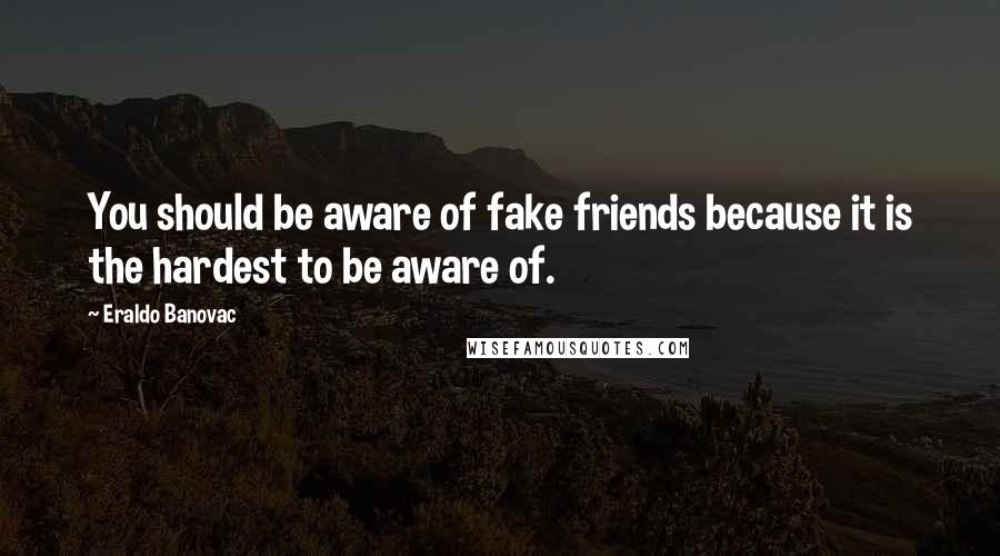 Eraldo Banovac Quotes: You should be aware of fake friends because it is the hardest to be aware of.
