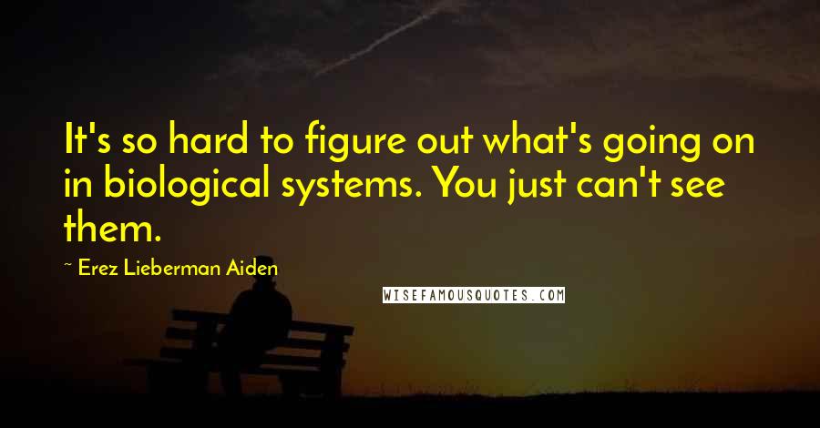 Erez Lieberman Aiden Quotes: It's so hard to figure out what's going on in biological systems. You just can't see them.