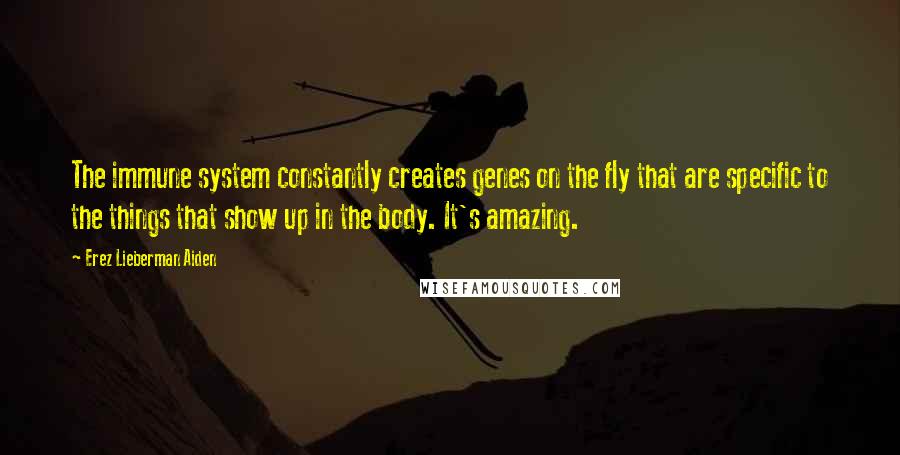 Erez Lieberman Aiden Quotes: The immune system constantly creates genes on the fly that are specific to the things that show up in the body. It's amazing.