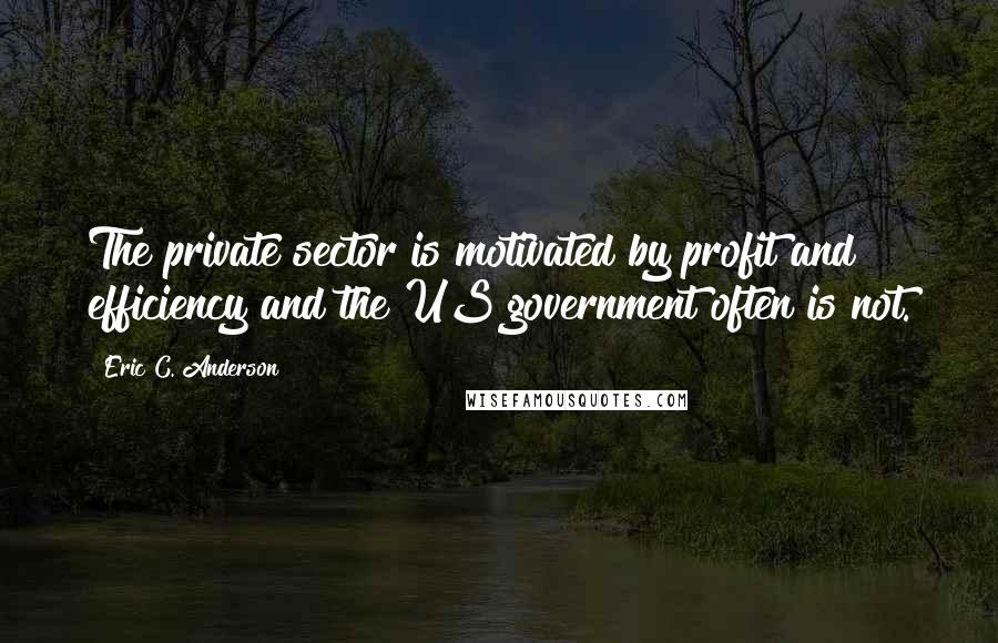 Eric C. Anderson Quotes: The private sector is motivated by profit and efficiency and the US government often is not.