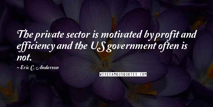 Eric C. Anderson Quotes: The private sector is motivated by profit and efficiency and the US government often is not.