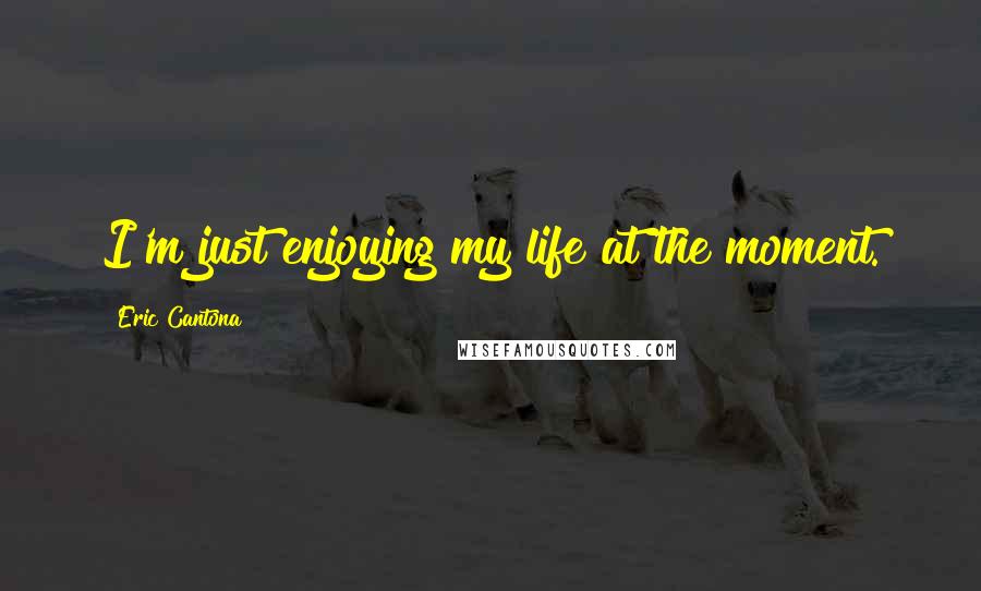 Eric Cantona Quotes: I'm just enjoying my life at the moment.