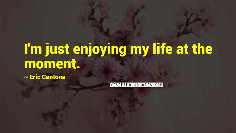 Eric Cantona Quotes: I'm just enjoying my life at the moment.