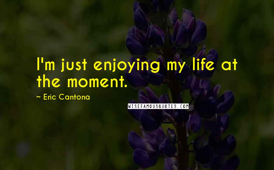 Eric Cantona Quotes: I'm just enjoying my life at the moment.