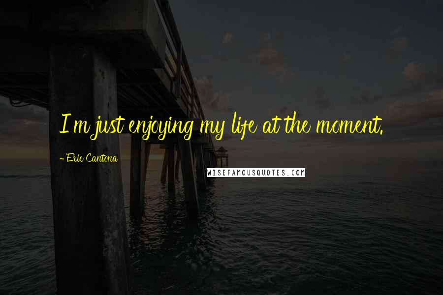 Eric Cantona Quotes: I'm just enjoying my life at the moment.