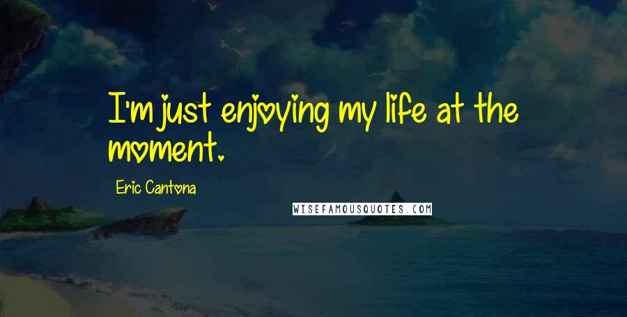 Eric Cantona Quotes: I'm just enjoying my life at the moment.