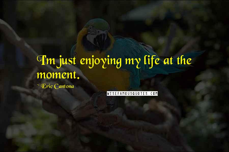 Eric Cantona Quotes: I'm just enjoying my life at the moment.