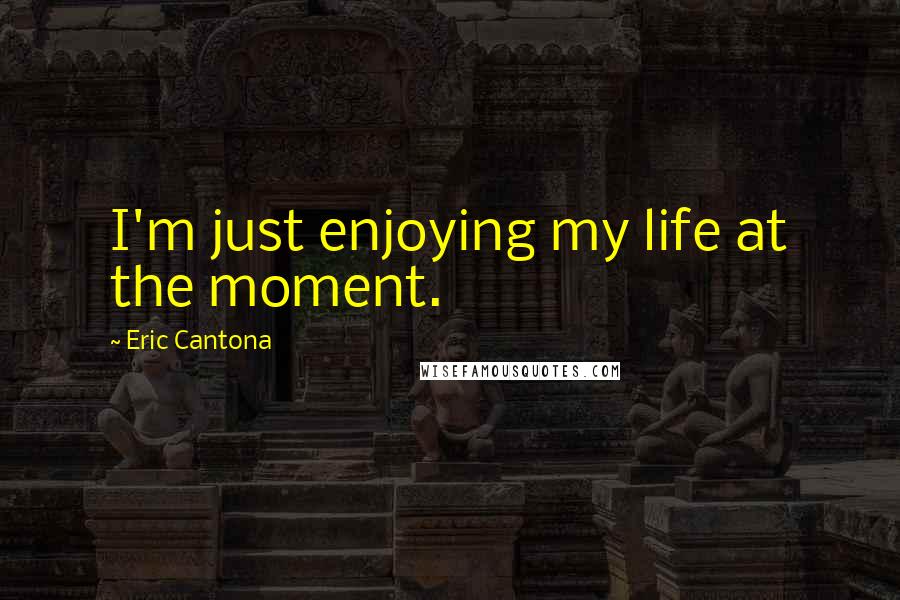 Eric Cantona Quotes: I'm just enjoying my life at the moment.