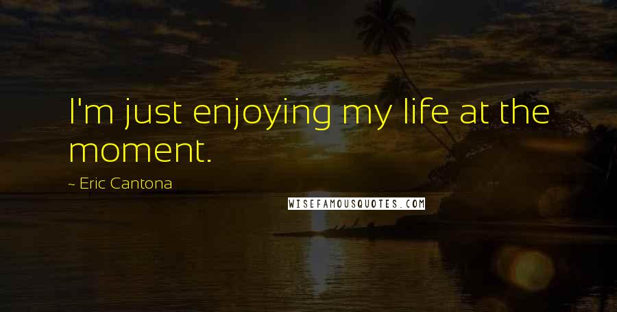 Eric Cantona Quotes: I'm just enjoying my life at the moment.