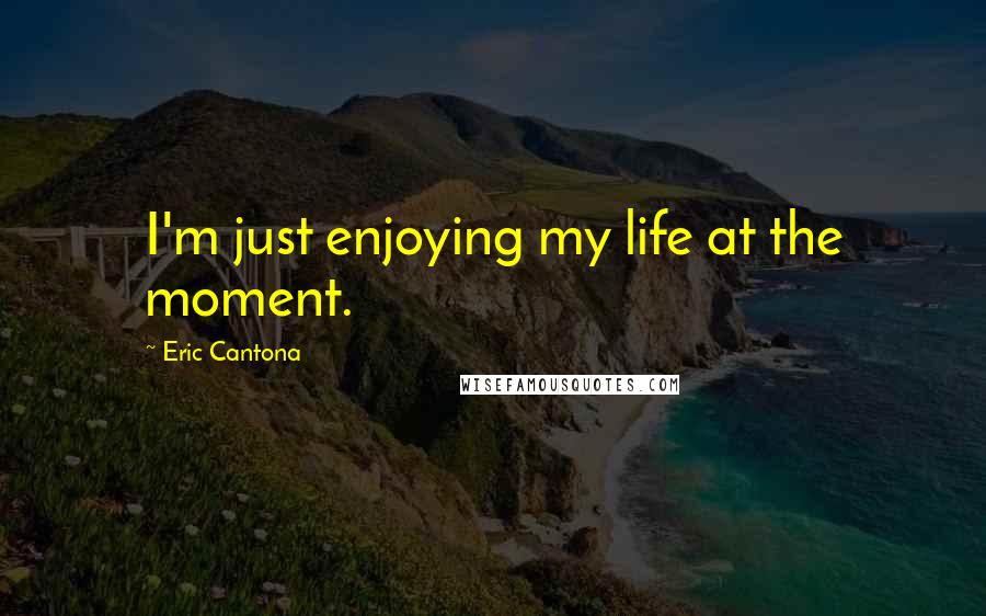 Eric Cantona Quotes: I'm just enjoying my life at the moment.