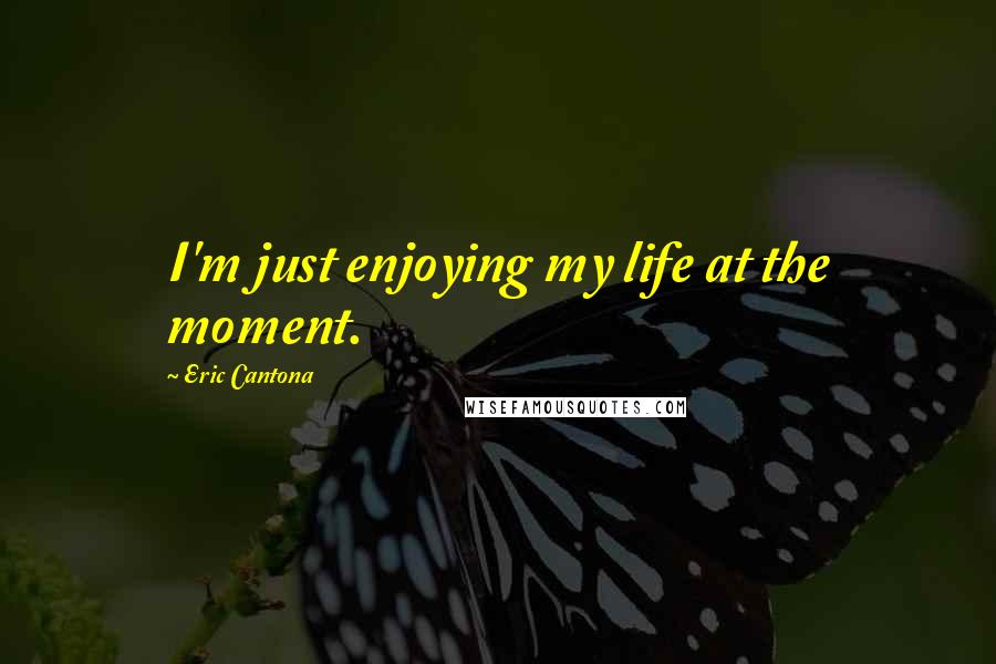 Eric Cantona Quotes: I'm just enjoying my life at the moment.