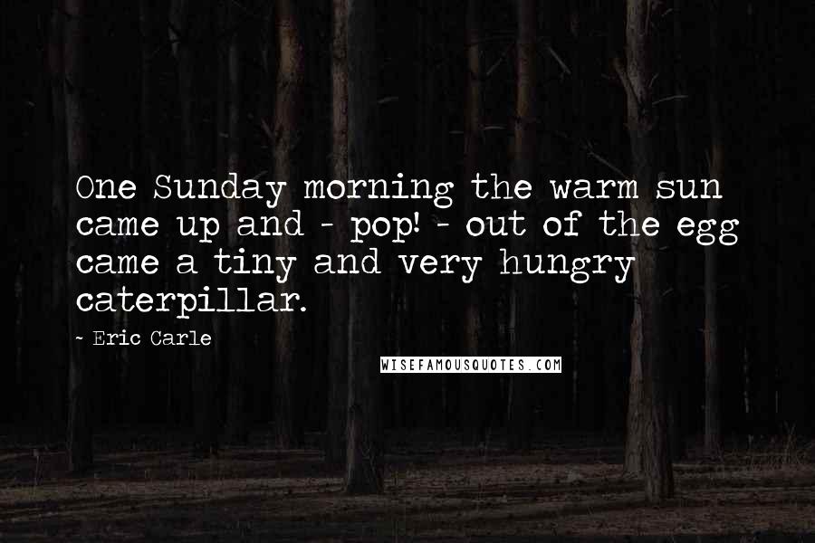 Eric Carle Quotes: One Sunday morning the warm sun came up and - pop! - out of the egg came a tiny and very hungry caterpillar.