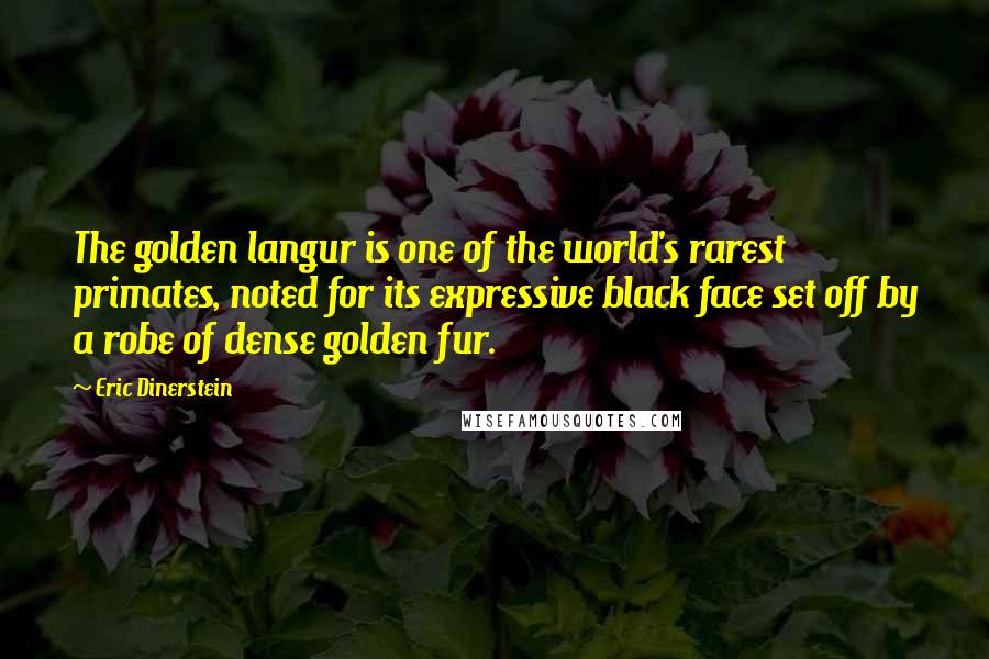 Eric Dinerstein Quotes: The golden langur is one of the world's rarest primates, noted for its expressive black face set off by a robe of dense golden fur.