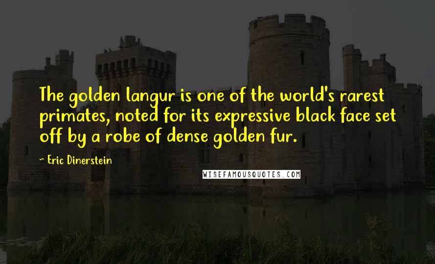 Eric Dinerstein Quotes: The golden langur is one of the world's rarest primates, noted for its expressive black face set off by a robe of dense golden fur.