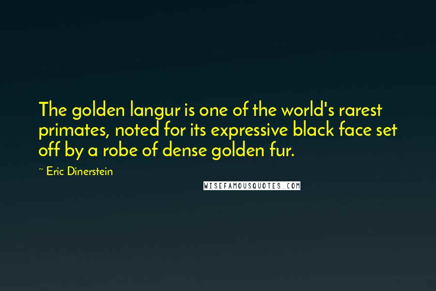Eric Dinerstein Quotes: The golden langur is one of the world's rarest primates, noted for its expressive black face set off by a robe of dense golden fur.