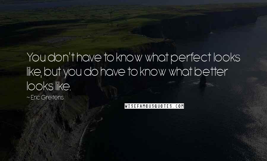 Eric Greitens Quotes: You don't have to know what perfect looks like, but you do have to know what better looks like.