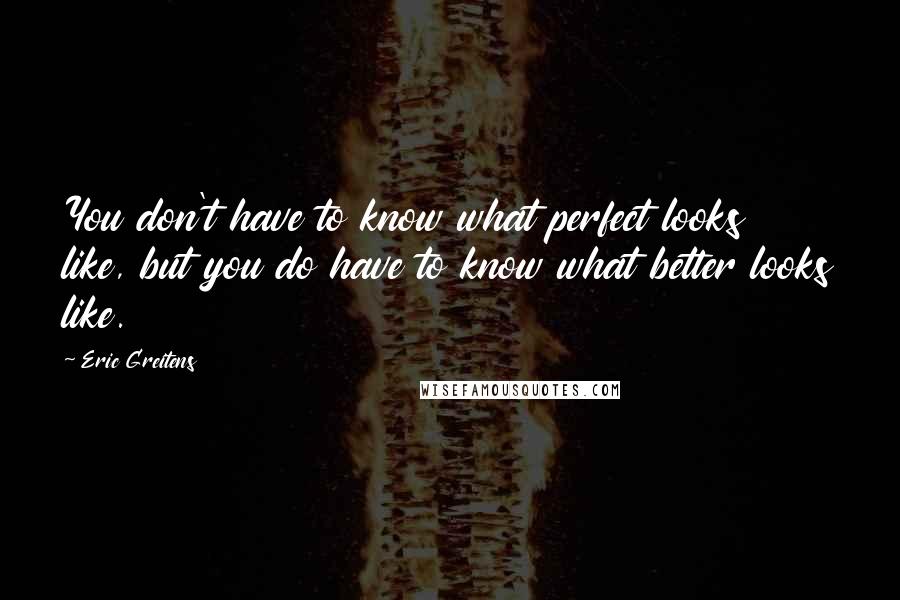 Eric Greitens Quotes: You don't have to know what perfect looks like, but you do have to know what better looks like.