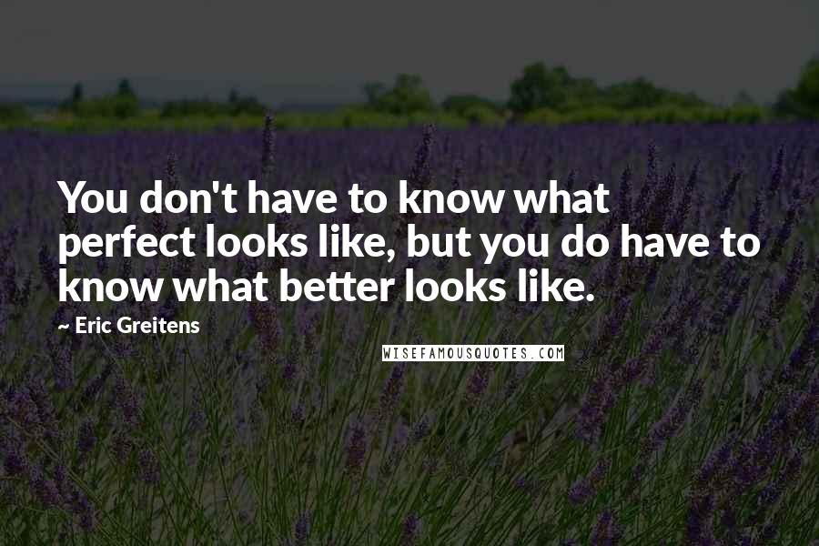 Eric Greitens Quotes: You don't have to know what perfect looks like, but you do have to know what better looks like.